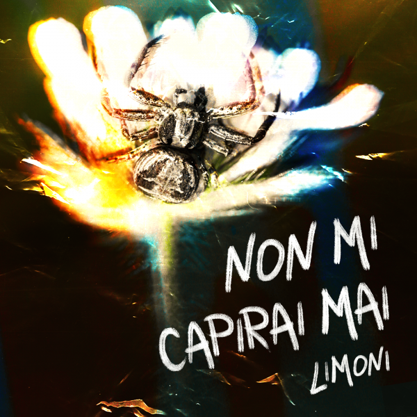 Il cantautore Indie Limoni presenta il suo nuovo singolo "Non mi capirai mai"
